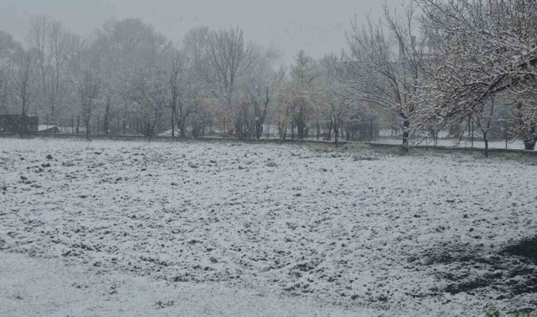 Bolu’da Ramazan Bayramı sabahı kar yağışıyla başladı. Sabahın erken saatlerinden