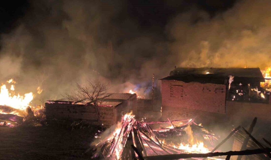Bolu’da gece saatlerinde çıkan yangın kısa sürede büyüyerek çevredeki ev,