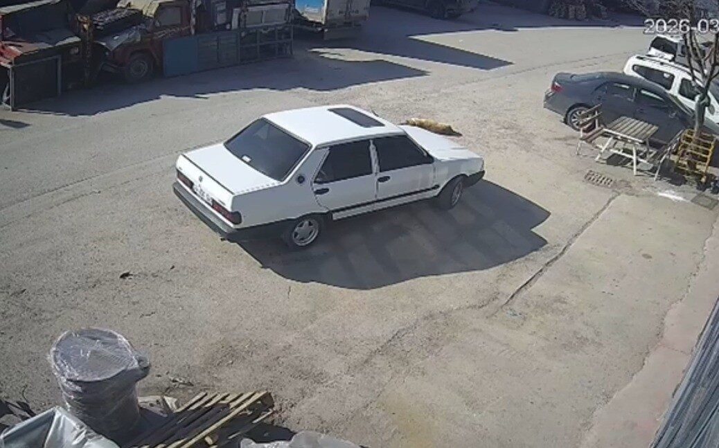 Bolu’da yolda yatan köpeğin üzerinden otomobiliyle geçen sürücü, jandarma ekipleri