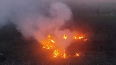 Bolu’nun Mudurnu ilçesinde otluk alanda çıkan yangın, itfaiye ekiplerinin hızlı