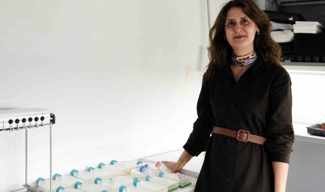 Bilecik Şeyh Edebali Üniversitesi’nde (BŞEÜ) mavi biyoteknoloji alanında geleceğe yönelik