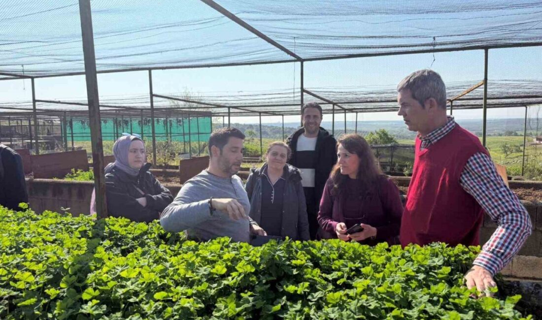 Bilecik Şeyh Edebali Üniversitesi (BŞEÜ), meraların iklim değişikliğine karşı korunmasına