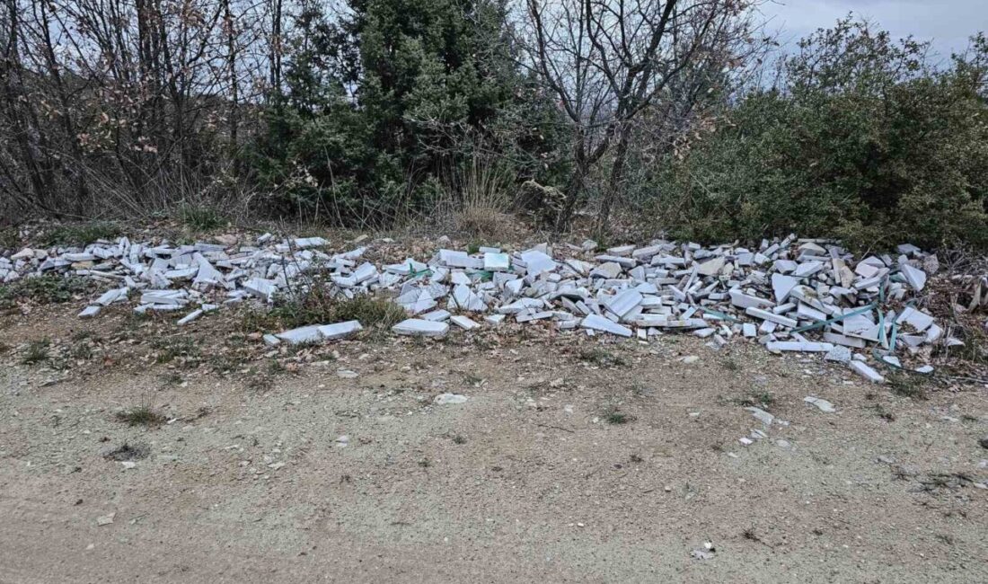 Bilecik’te doğaya gelişi güzel bırakılan plastik atıklar, tarım arazilerini ve
