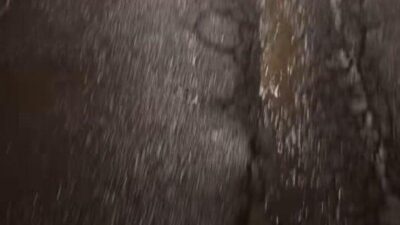 Bilecik Belediyesi’nin Cumhuriyet Halk Partili (CHP) Meclis Üyesi İrem Şimşek