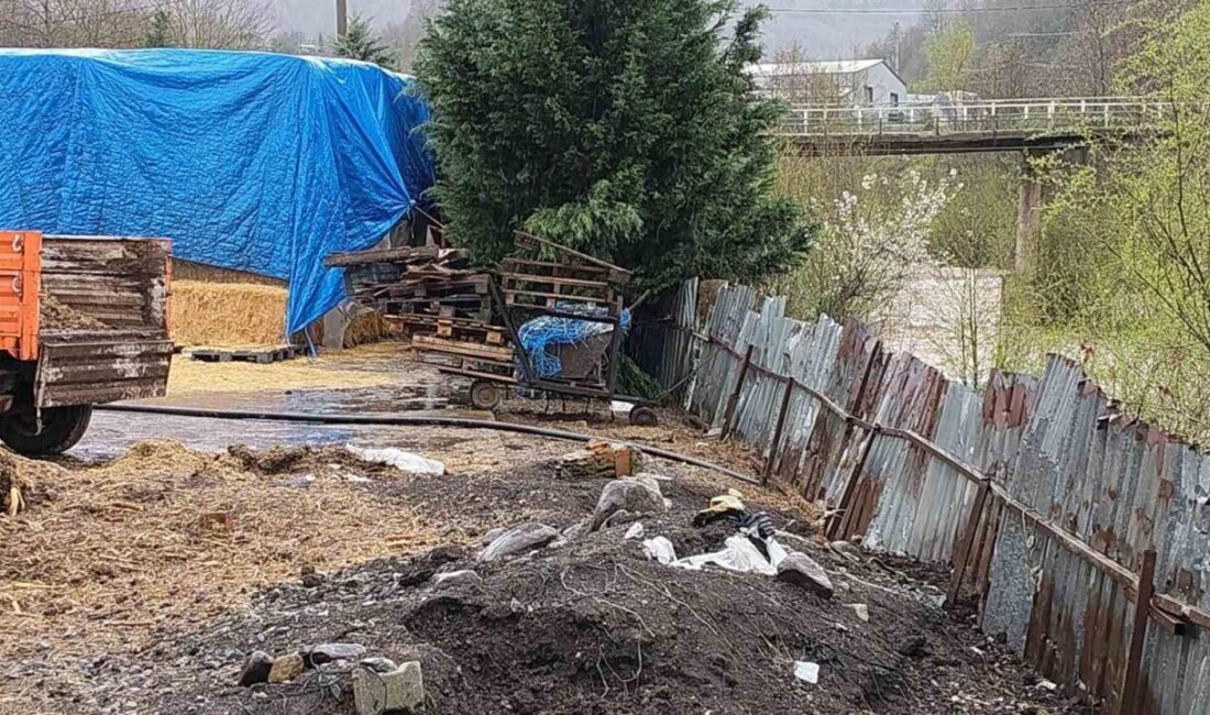 Kocaeli’nin Gölcük ilçesinde Asar Deresi’ne hayvansal atık bıraktığı tespit edilen