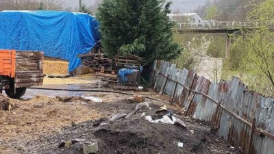 Kocaeli’nin Gölcük ilçesinde Asar Deresi’ne hayvansal atık bıraktığı tespit edilen