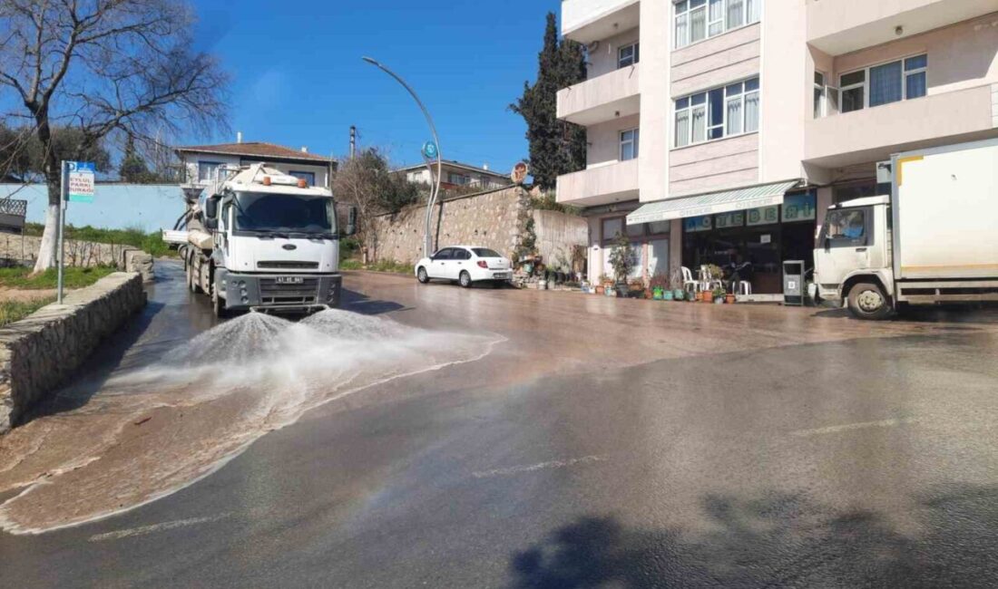 Dilovası’nda cadde, sokak ve semt pazarlarında Ramazan ayı dolayısıyla temizlik