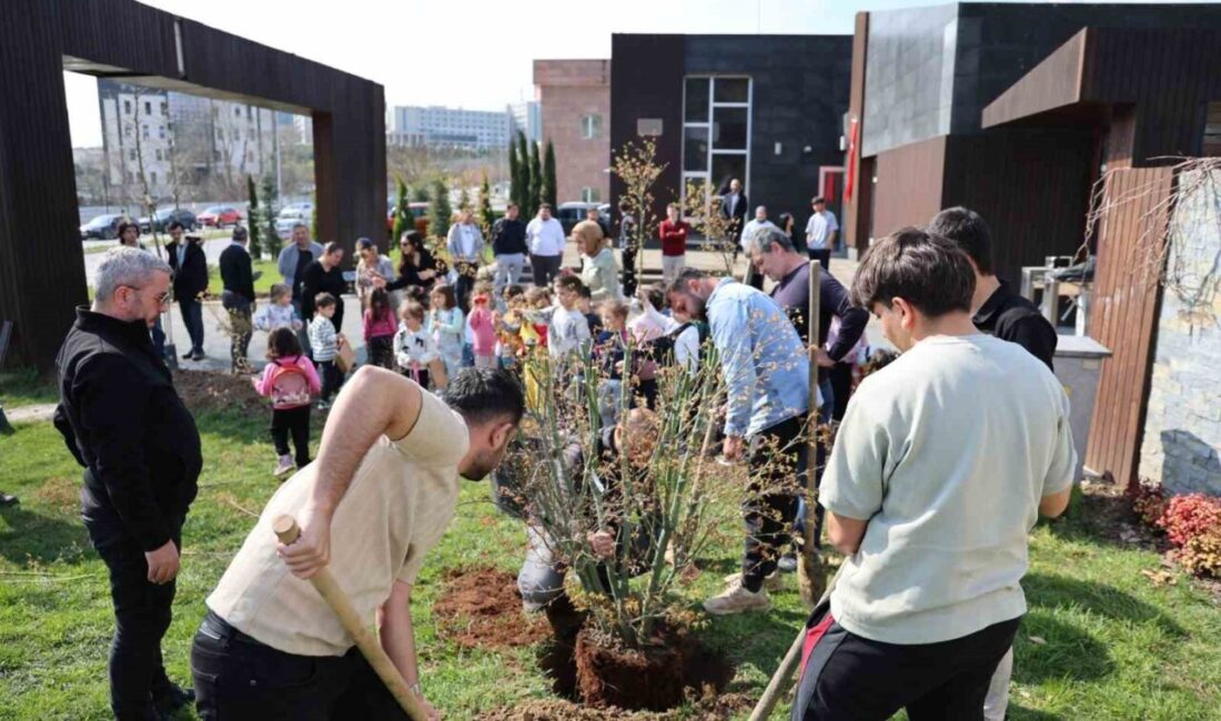 DÜZCE(İHA) – Düzce Üniversitesi Süs ve Tıbbi Bitkiler Botanik Bahçesi