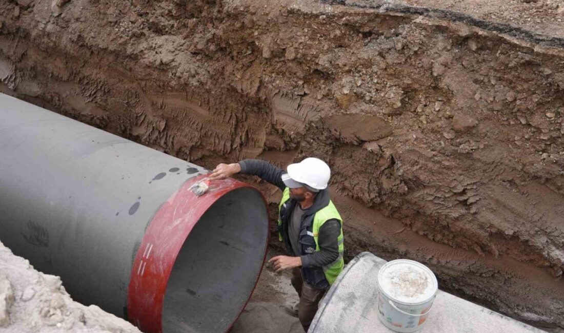 Düzce Belediyesi tarafından başlatılan ve Başkan Dr. Faruk Özlü’nün 50