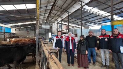 Angus damızlık düveyi işletmelerine kazandırırken, 16 buzağı doğumu gerçekleşti. Yetiştiricilere