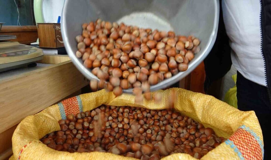 DÜZCE(İHA) – Düzce’den ocak ve şubat aylarında Avrupa Birliği ülkelerine