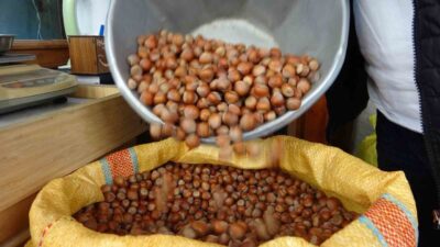 DÜZCE(İHA) – Düzce’den ocak ve şubat aylarında Avrupa Birliği ülkelerine