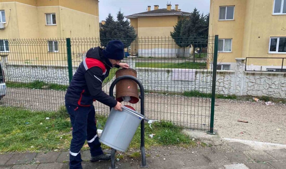 Düzce Belediyesi, şehir merkezi başta olmak üzere Bahçeşehir ve mücavir