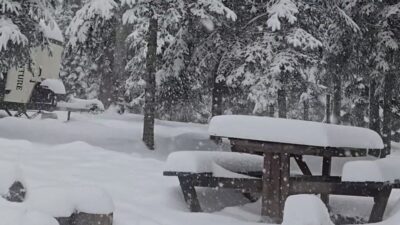 Düzce’nin yüksek kesimlerinde dün gece saatlerinde etkili olan sağanak yağış,