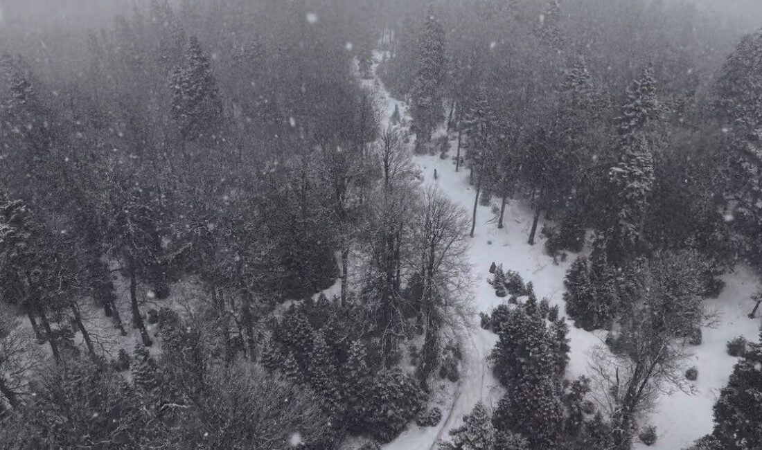 Düzce’nin yüksek kesimlerinde etkili olan kar yağışı dolayısıyla kar kalınlığı