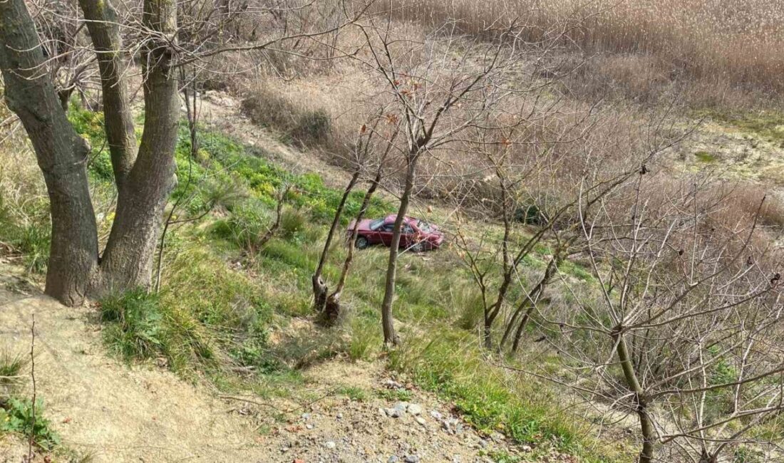 D-100 karayolunun Kocaeli geçişinde sürücüsünün fren arızasını kontrol etmek için