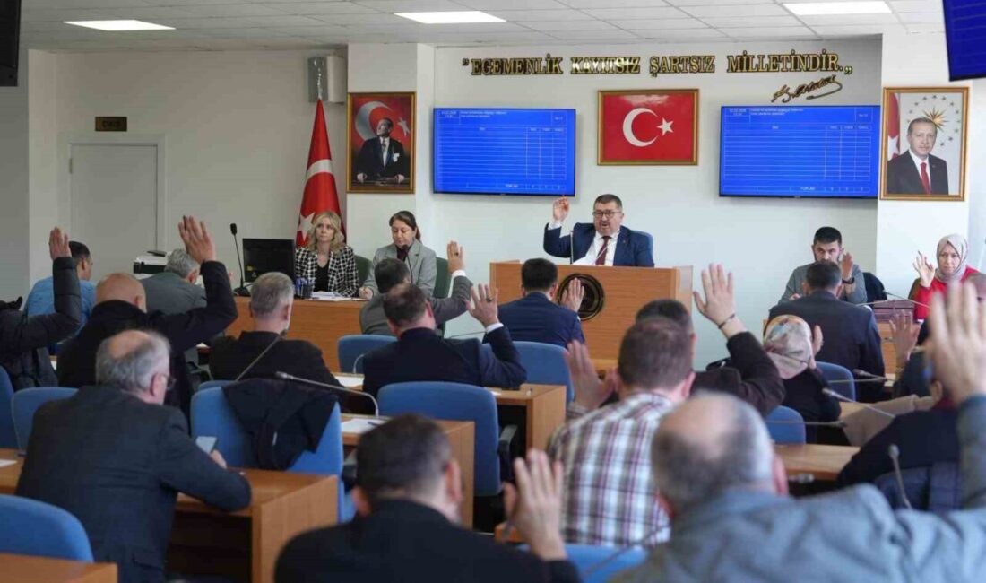 Düzce Belediye Meclisi, mart ayı birinci birleşimi Meclis Başkan vekili