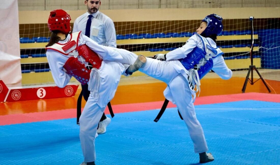 Bilecik‘te genç tekvandocular madalya için mücadele ediyor. Bilecik’te düzenlenen Okul