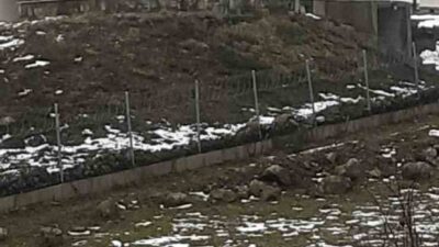 Göç yolculuğundaki leylek sürüsü, Sakarya’nın Hendek ilçesinde mola verdikleri arazide