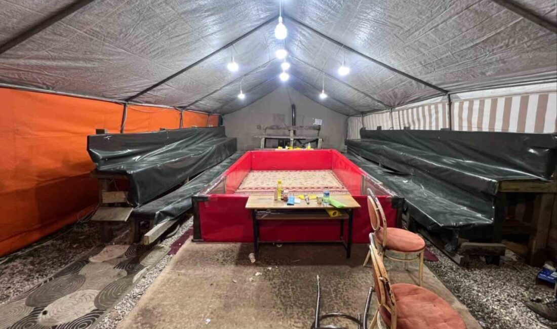 Sakarya’nın Sapanca ilçesinde jandarma ekiplerince horoz dövüşü organize edildiği belirlenen