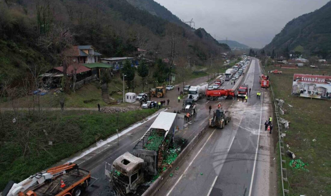 D-650 kara yolu Sakarya geçişinde çarpışan iki tırdan biri alev
