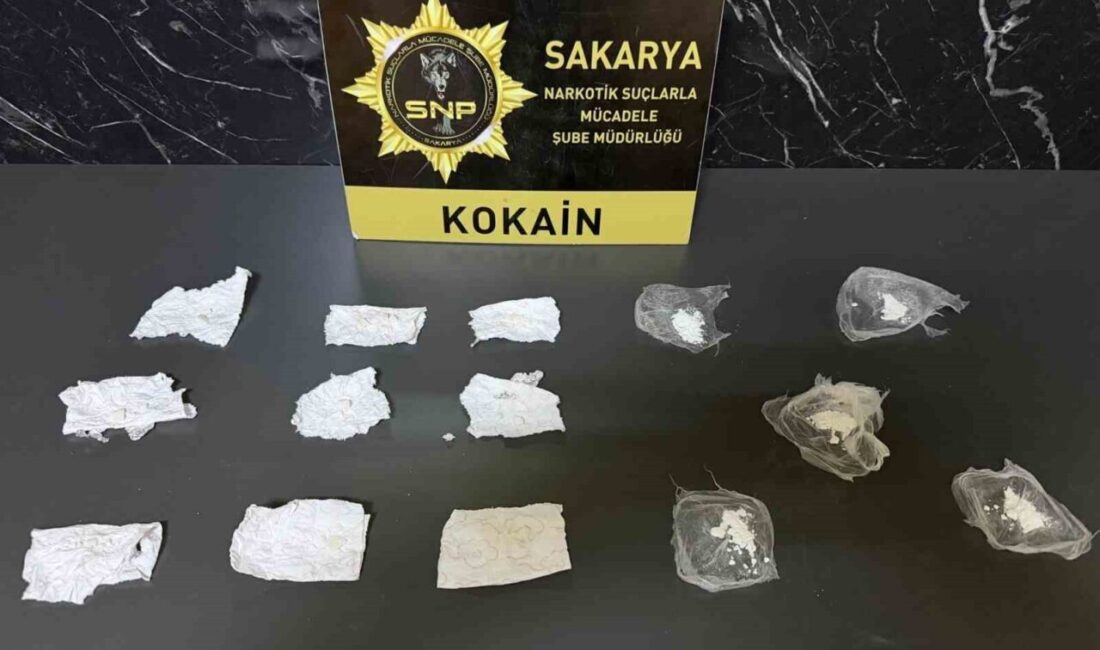 İstanbul’dan getirdiği kokaini Sakarya’ya sokmaya çalışan şüpheli, Anadolu Otoyolu Adapazarı