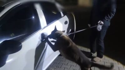 Sakarya’da emniyet ekiplerince düzenlenen uyuşturucu operasyonunda, İstanbul’dan temin ettikleri uyuşturucu