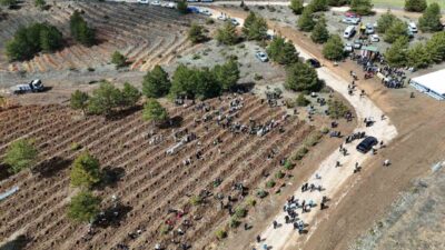 Kastamonu’da “Türkiye’nin Gücü Orman” teması adı altında bu yıl içerisinde