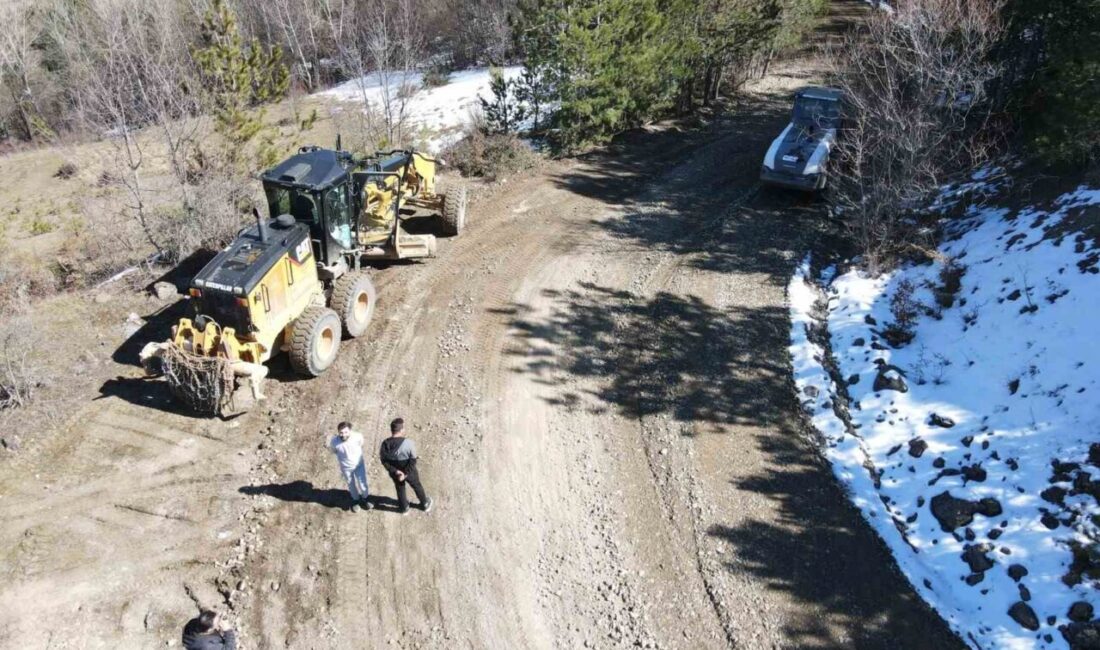 Kastamonu İl Özel İdaresi ekipleri, bin 54 köy yolunda karla