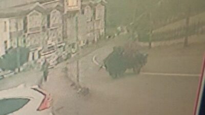 Kastamonu’nun İnebolu ilçesinde “patpat” diye tabir edilen tarım aracının lastiğinin