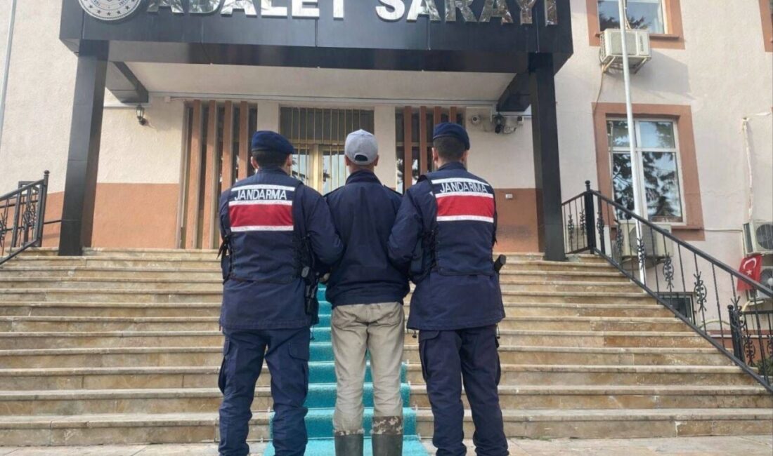 Bilecik’te kendisine saldıran köpeklere av tüfeği ile ateş ettiği esnada