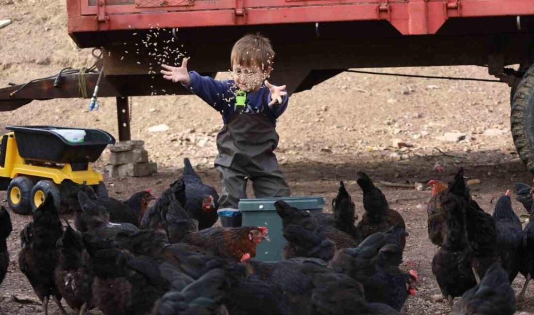 Kocaeli’de tarım ve hayvancılığı desteklemek amacıyla 2019-2026 yılları arasında hayata