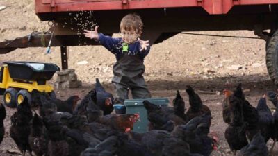 Kocaeli’de tarım ve hayvancılığı desteklemek amacıyla 2019-2026 yılları arasında hayata