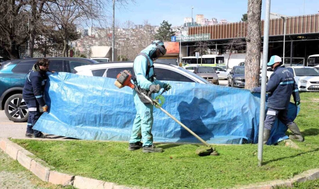 Kocaeli’de belediye ekipleri, park ve bahçelerde yürüttükleri ot biçme ile