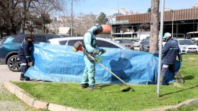 Kocaeli’de belediye ekipleri, park ve bahçelerde yürüttükleri ot biçme ile