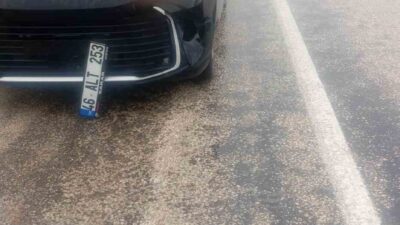 Bilecik’te köpeğe çarpan aracın karıştığı trafik kazasında maddi hasar meydana