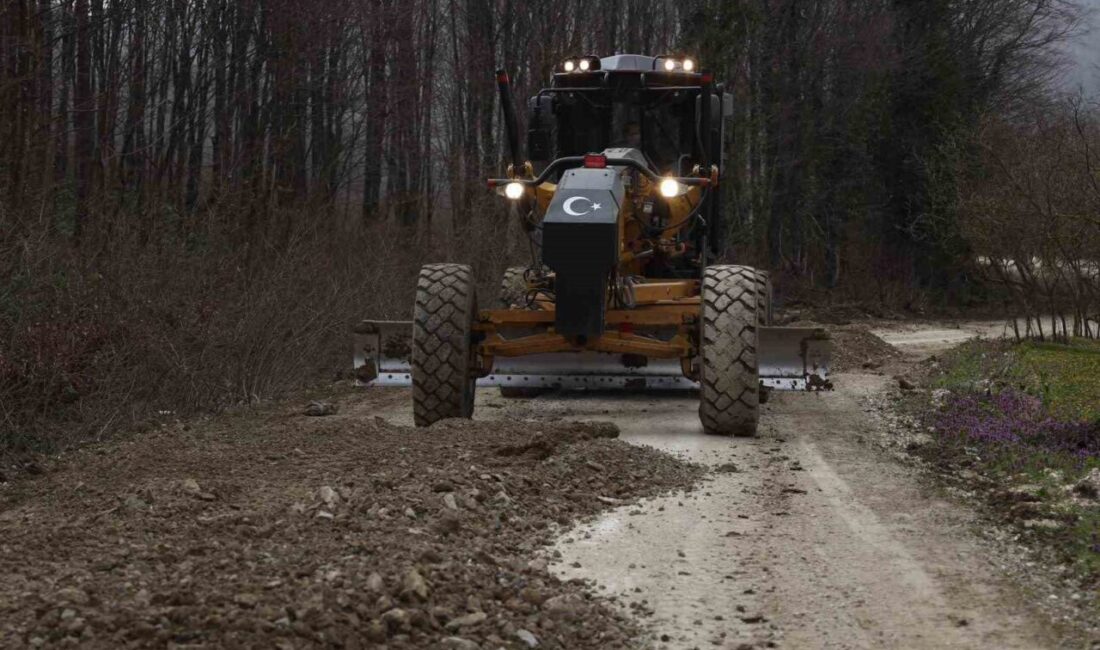 DÜZCE (İHA) – Düzce Merkez ilçeye bağlı Yayla ve Güldere