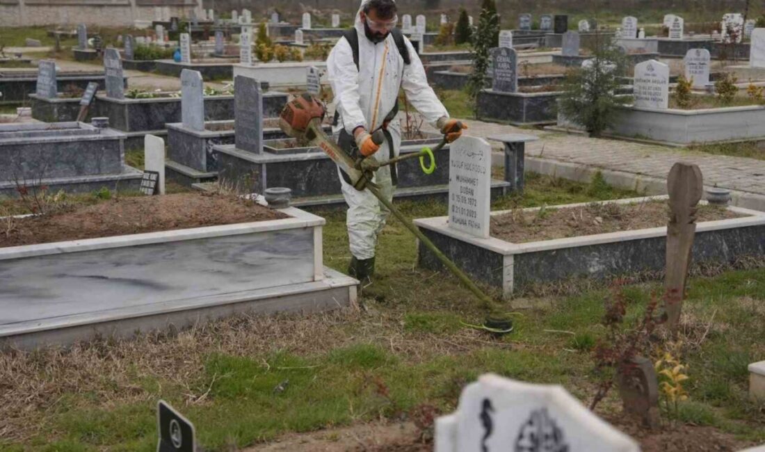 DÜZCE (İHA) – Düzce Belediyesi Park ve Bahçeler Müdürlüğü ile