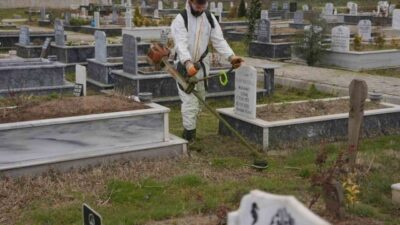 DÜZCE (İHA) – Düzce Belediyesi Park ve Bahçeler Müdürlüğü ile