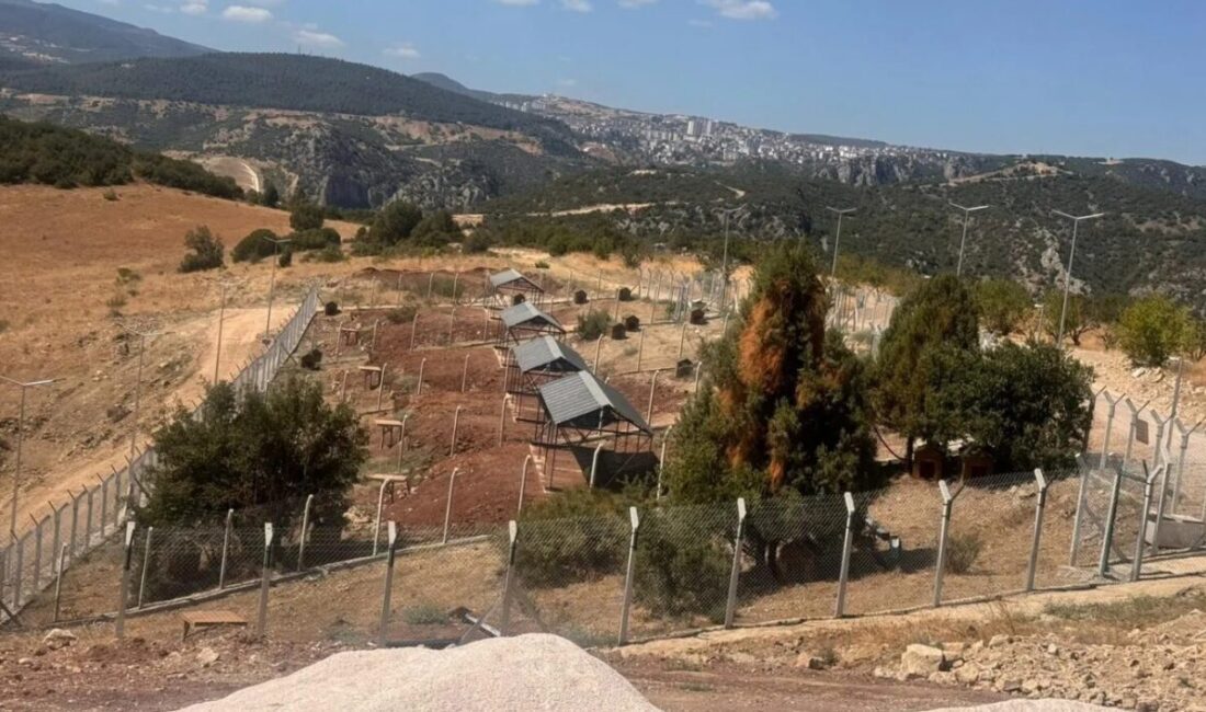 Bilecik İl Özel İdaresi tarafından inşa edilen Sokak Hayvanları Doğal