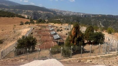 Bilecik İl Özel İdaresi tarafından inşa edilen Sokak Hayvanları Doğal