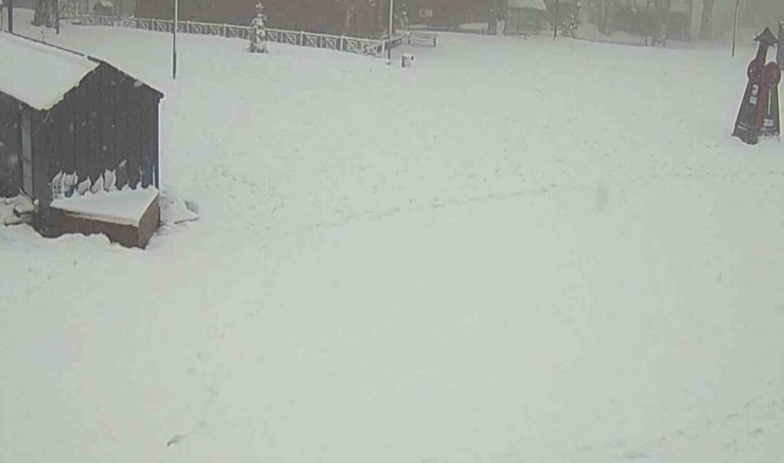 Kocaeli’de hava sıcaklıklarının hissedilir derecede düşmesiyle birlikte kış turizminin önemli