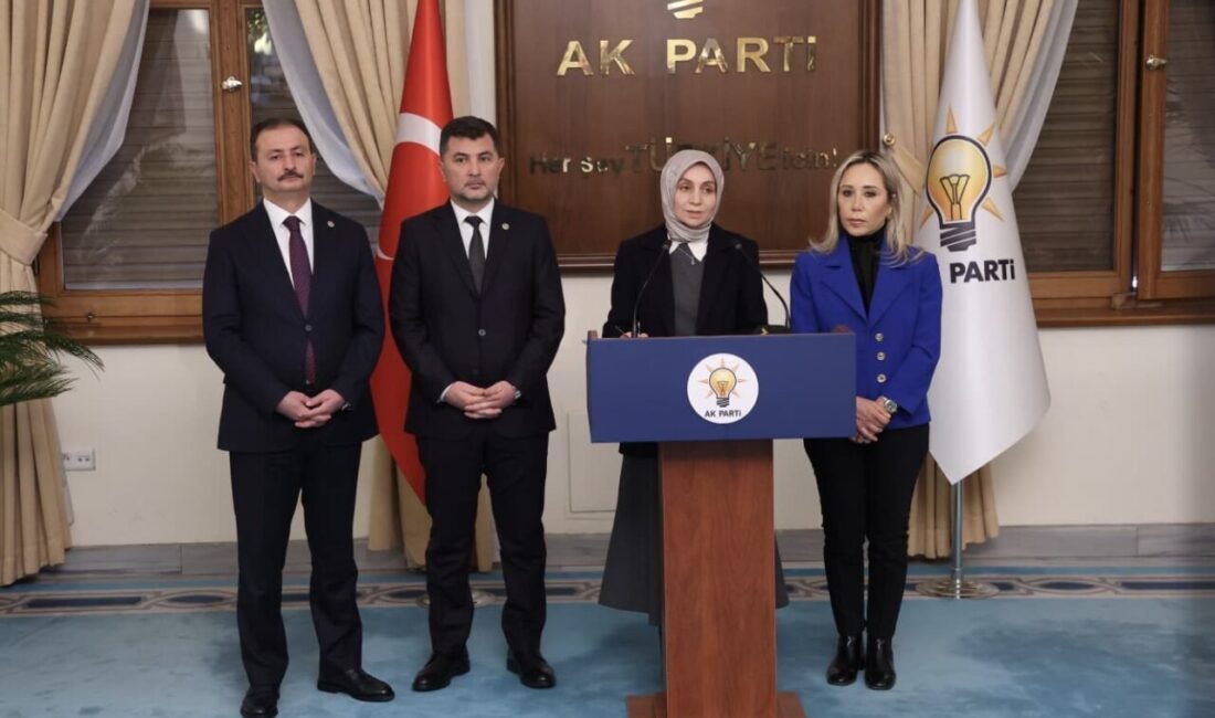 AK Parti Düzce Milletvekili Ercan Öztürk, Sosyal hizmetler kanunu ve