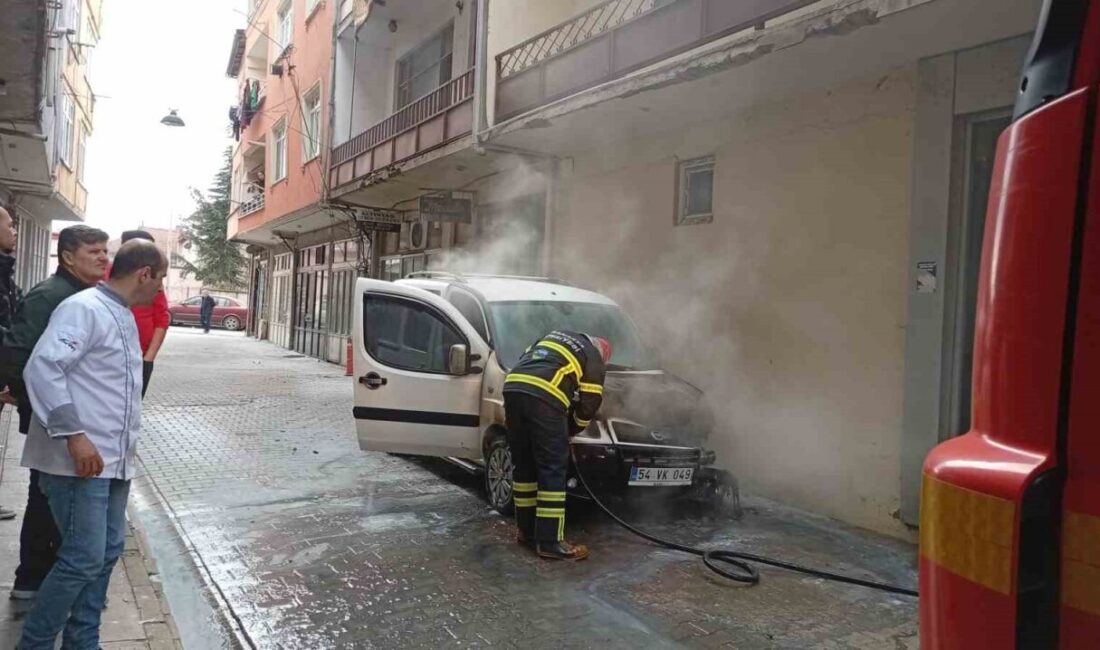 Sakarya’nın Hendek ilçesinde park halindeki bir otomobilin motor bölümünde çıkan