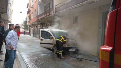 Sakarya’nın Hendek ilçesinde park halindeki bir otomobilin motor bölümünde çıkan