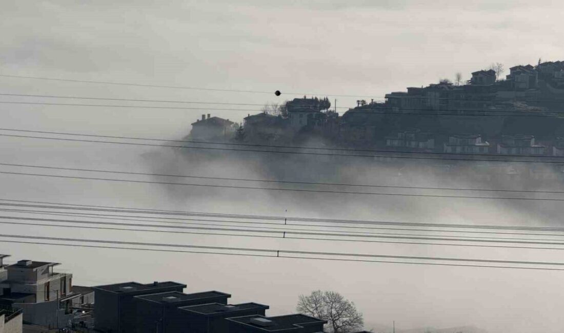 Sakarya’da etkili olan yoğun sis sebebiyle görüş mesafesi 10 metreye