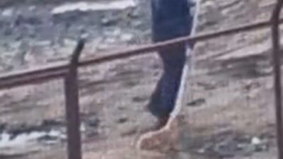 Sakarya Valiliği, Geyve ve Pamukova ilçelerindeki hayvan barınaklarına ilişkin sosyal