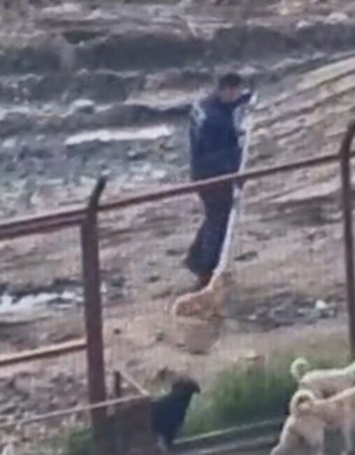 Sakarya Valiliği, Geyve ve Pamukova ilçelerindeki hayvan barınaklarına ilişkin sosyal