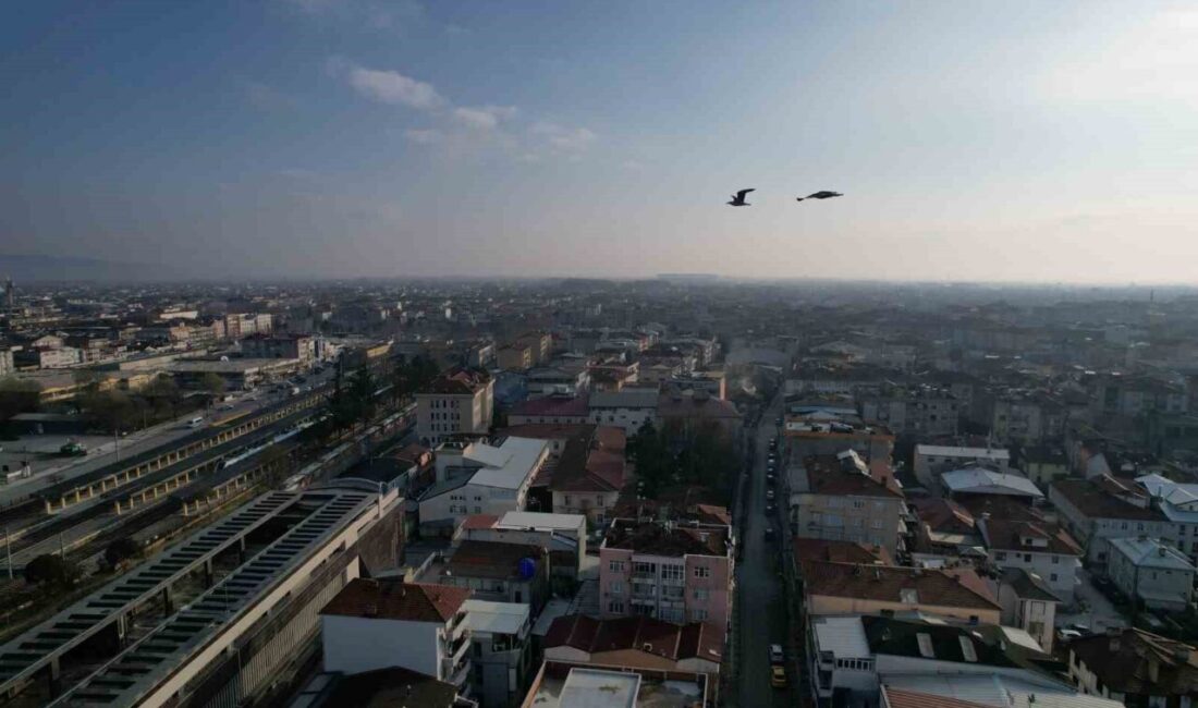 Sakarya’nın yüksek kesimlerinde etkili olan kar yağışı Hendek ilçesinin yüksek
