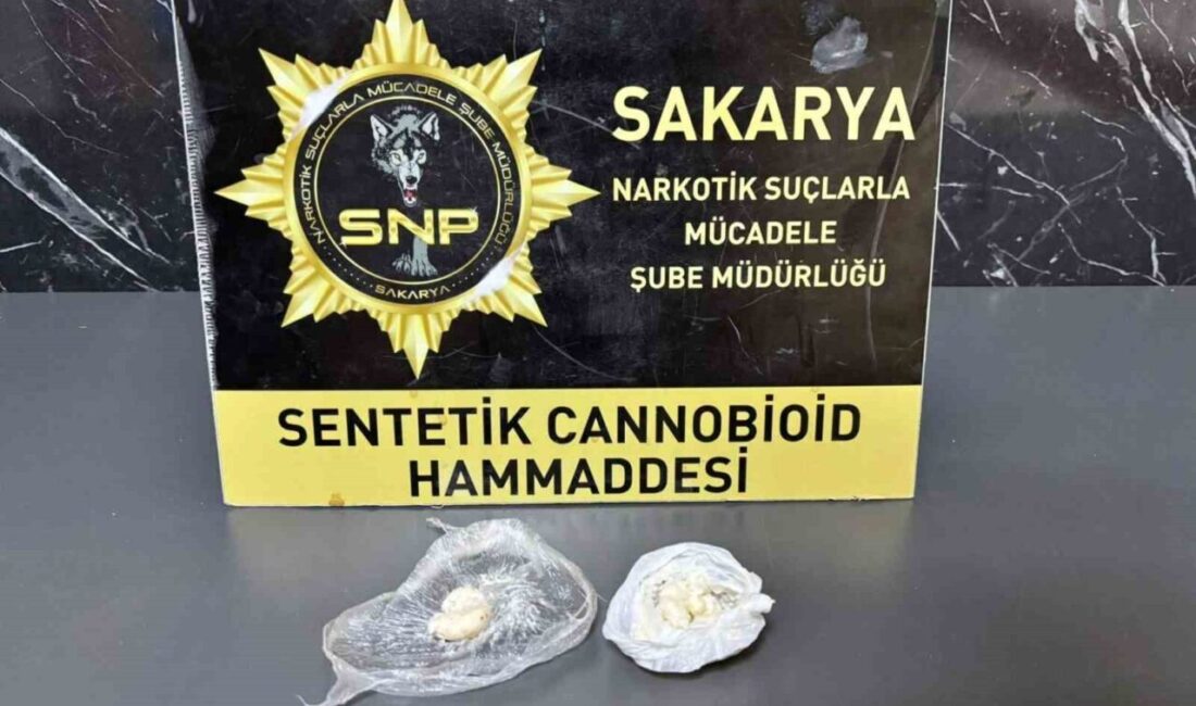 Sakarya’da emniyet ekiplerince 2 ilçede düzenlenen uyuşturucu operasyonunda gözaltına alınan